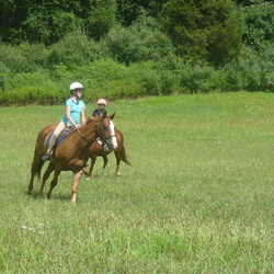 Pony Club Camp August 2011