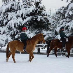 Winter Riding 2011
