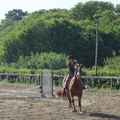 horse-show-003-1