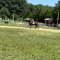 IMG 0717