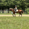 IMG 0752