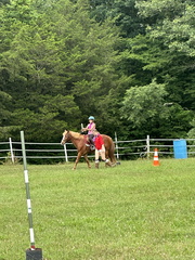 IMG 1221