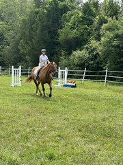 IMG 2633