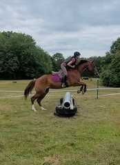 Screenshot 20210804-192146 Gallery