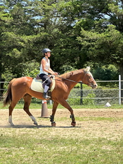 IMG 0827