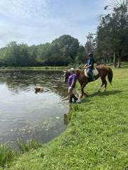 IMG 1149